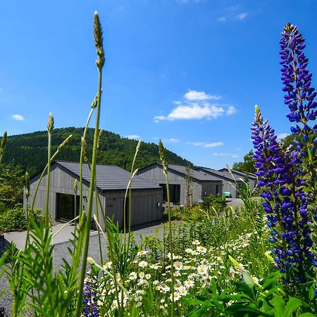 Sauerland Lodge - Haus Juliana Винтерберг Екстериор снимка
