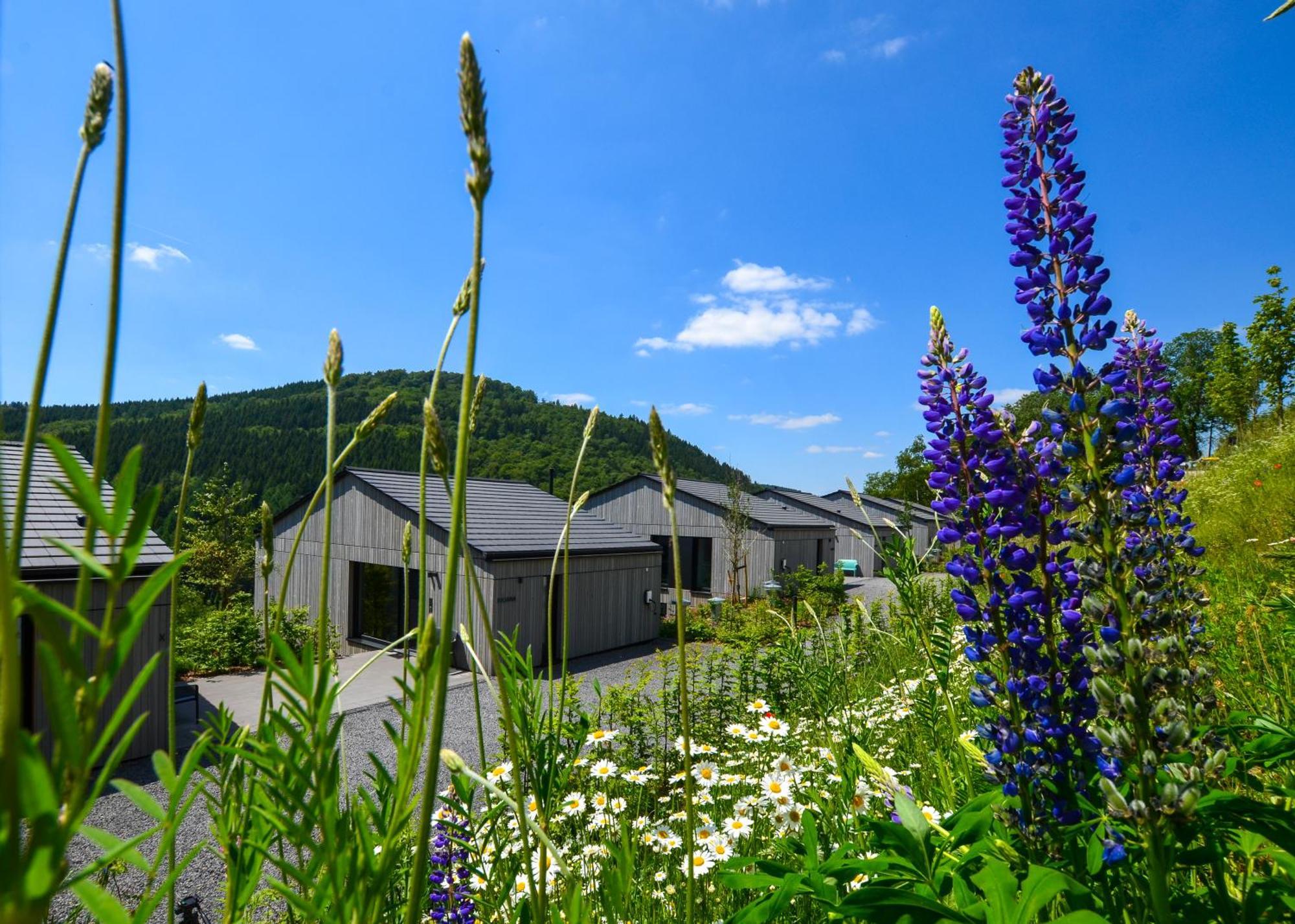 Sauerland Lodge - Haus Juliana Винтерберг Екстериор снимка